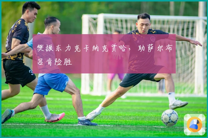 樊振东力克卡纳克贾哈，助萨尔布吕肯险胜